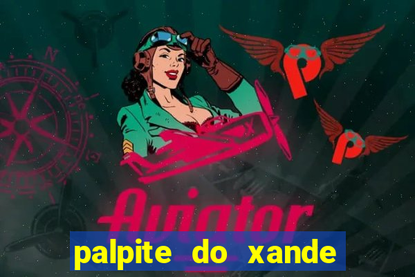 palpite do xande de hoje