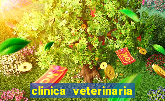 clinica veterinaria cuidar betim