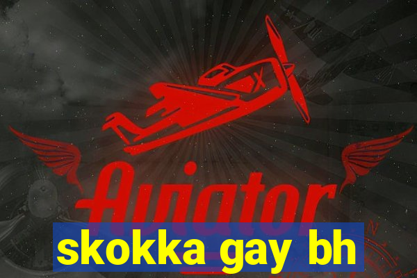 skokka gay bh