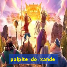 palpite do xande para hoje