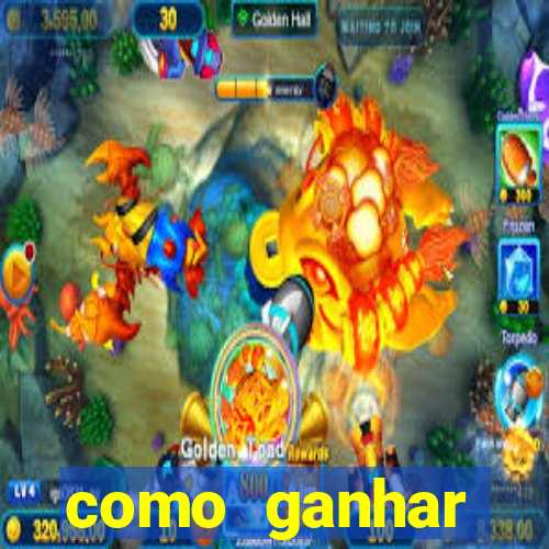 como ganhar dinheiro no jogo do touro