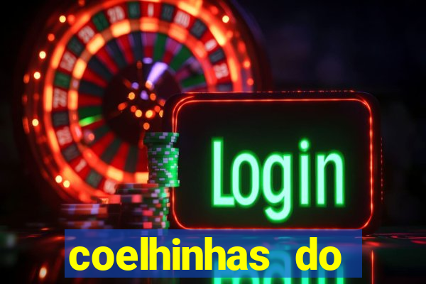 coelhinhas do brasil recife