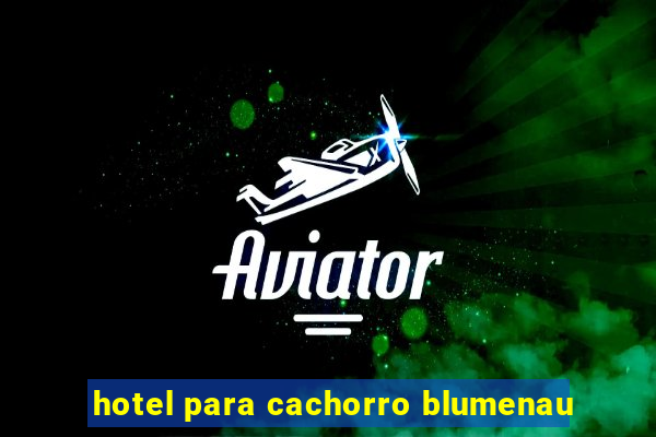 hotel para cachorro blumenau