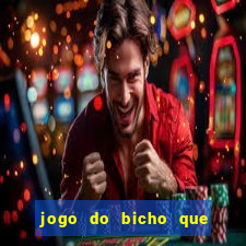 jogo do bicho que paga no pix