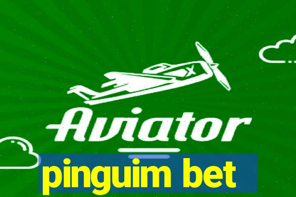 pinguim bet