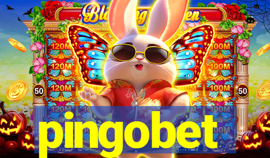 pingobet