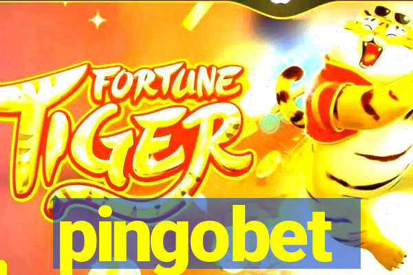 pingobet