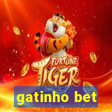 gatinho bet