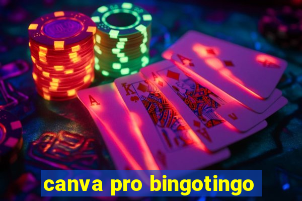 canva pro bingotingo