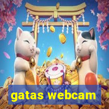 gatas webcam