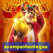 acompanhanteguanambi