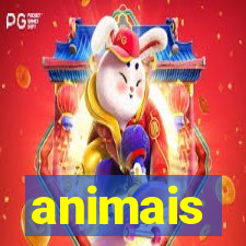 animais-pg.com