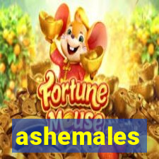 ashemales