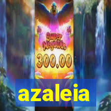 azaleia-br.com