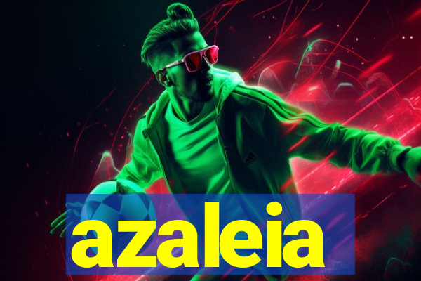 azaleia-br.com