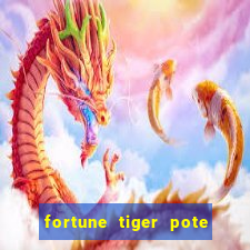 fortune tiger pote de ouro