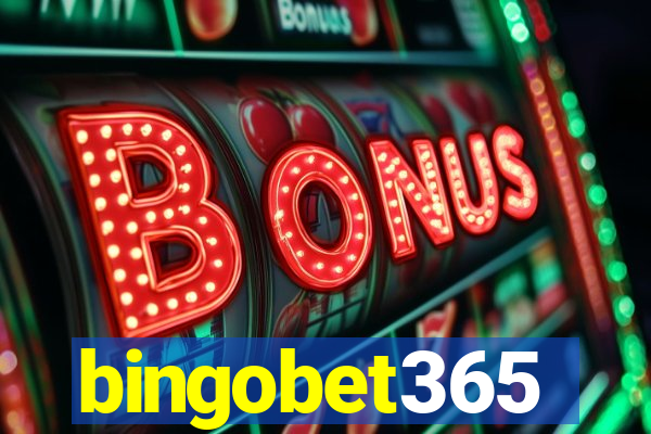 bingobet365