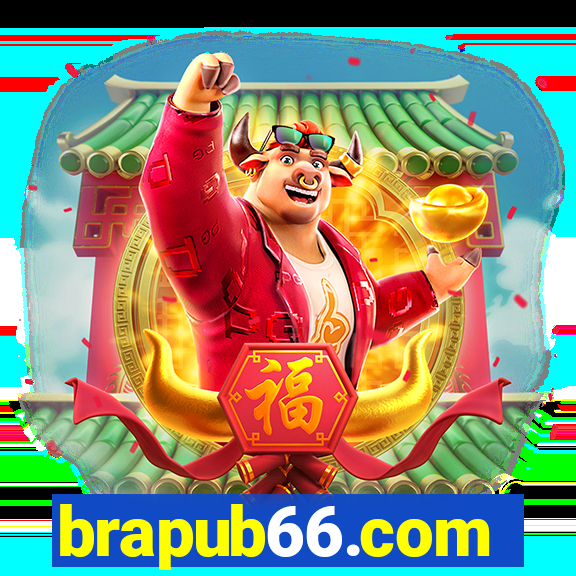 brapub66.com