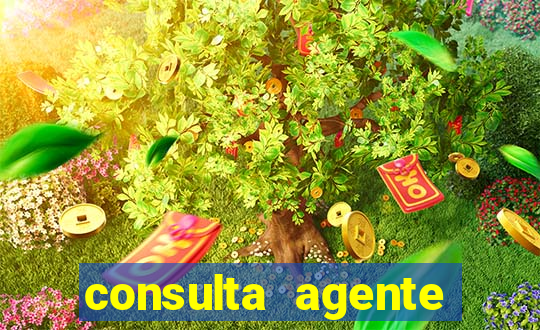 consulta agente autuador sp