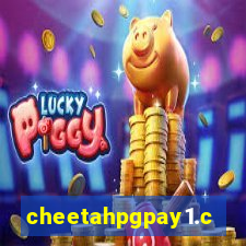 cheetahpgpay1.com