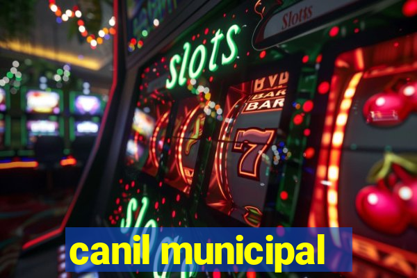 canil municipal