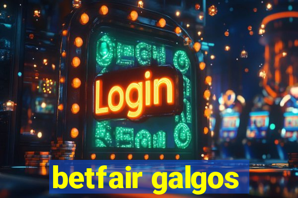 betfair galgos