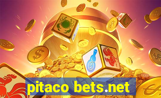 pitaco bets.net