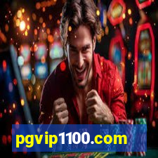 pgvip1100.com