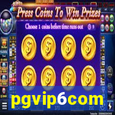 pgvip6com