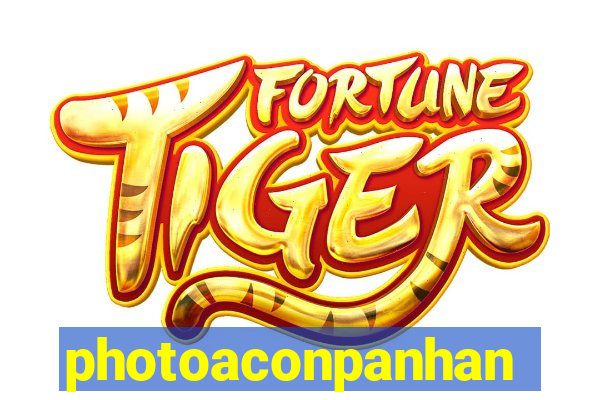 photoaconpanhante