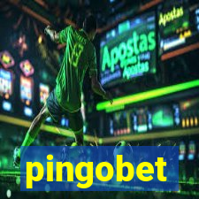 pingobet