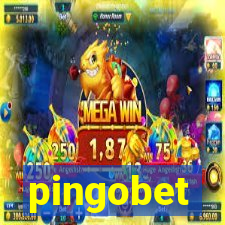 pingobet