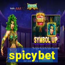 spicybet-1.com