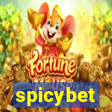 spicybet-1.com