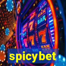 spicybet-5.com