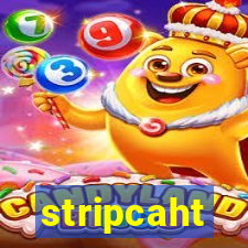 stripcaht