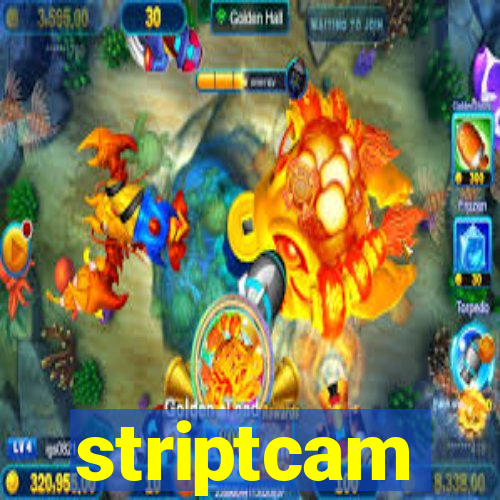 striptcam