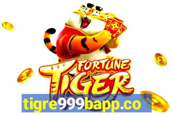 tigre999bapp.com