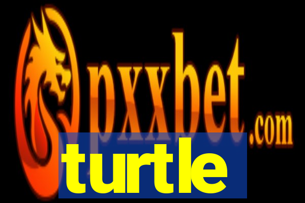 turtle-ty.com