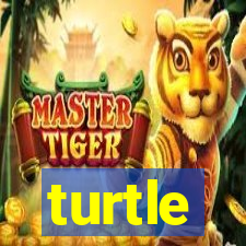 turtle-ty.com